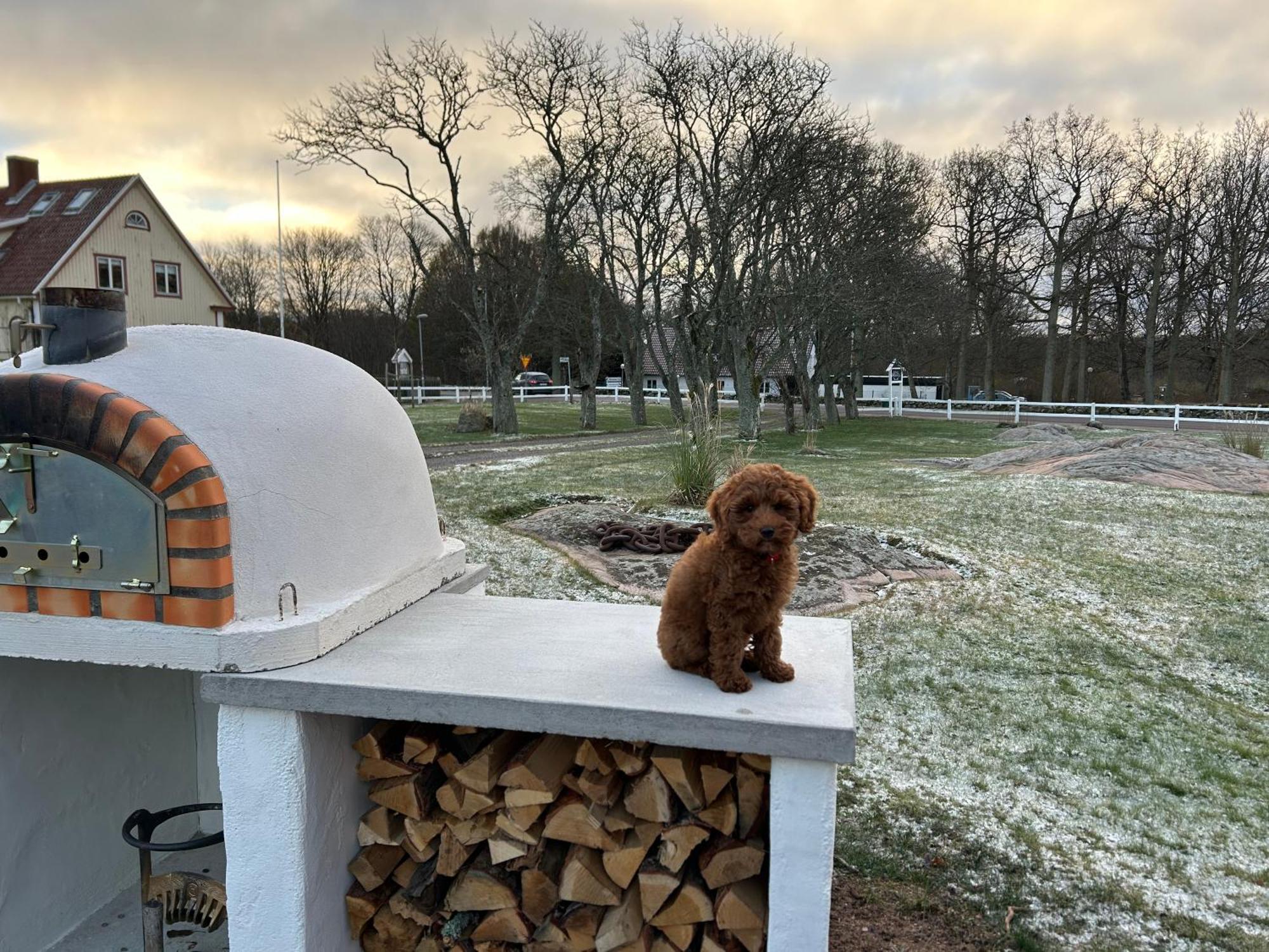 Halmstad Gardshotell Dış mekan fotoğraf